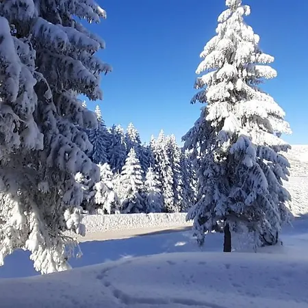 Appartement Horsky Temari 4 Klinovec Loučná pod Klínovcem