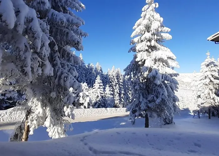 Διαμέρισμα Horsky Temari 4 Klinovec Loučná pod Klínovcem